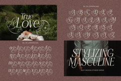 Flyhayer Typeface Product Image 12