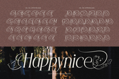 Flyhayer Typeface Product Image 16
