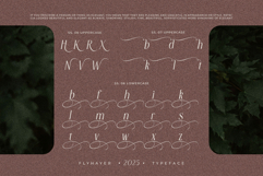 Flyhayer Typeface Product Image 18