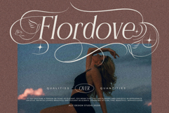 Flyhayer Typeface Product Image 7