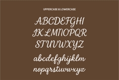 Family Girly Script Handwritten Font Product Image 13