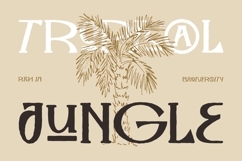 The Folk Moonlight Product Image 8