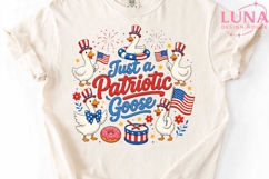 Patriotic Goose PNG, 4th of July Goose Clipart, Funny USA PN Product Image 5