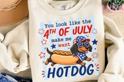 4th of July Dachshund Hotdog PNG, Funny Patriotic Dog Sublim Product Image 3