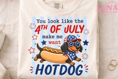 4th of July Dachshund Hotdog PNG, Funny Patriotic Dog Sublim Product Image 4