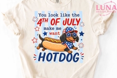 4th of July Dachshund Hotdog PNG, Funny Patriotic Dog Sublim Product Image 5