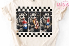 Patriotic Opossum PNG, 4th of July Possum PNG, Funny America Product Image 4
