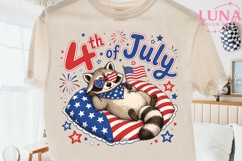 4th of July Raccoon PNG, Patriotic Raccoon Clipart, USA Flag Product Image 1