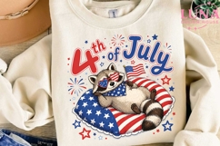 4th of July Raccoon PNG, Patriotic Raccoon Clipart, USA Flag Product Image 2