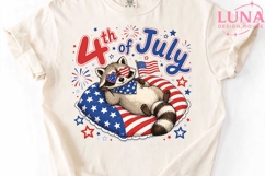 4th of July Raccoon PNG, Patriotic Raccoon Clipart, USA Flag Product Image 4