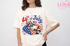 4th of July Raccoon PNG, Patriotic Raccoon Clipart, USA Flag Product Image 5