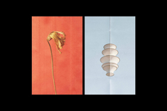 Folded Paper Textures Collection Product Image 12