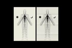 Folded Paper Textures Collection Product Image 7