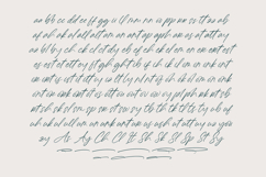 Charitty Battera Handwritten Ink Font Product Image 9