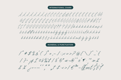 Charitty Battera Handwritten Ink Font Product Image 13