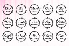 Newborn T-shirt, Baby Milestones Bundle, Monthly Milestone Product Image 3