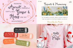 Whole Shop Font Bundle Kaya Fonts Product Image 19