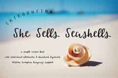 The Crafter's Font Bundle Product Image 19