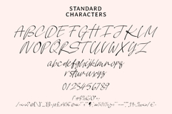 Zencany Handwritten Script Product Image 4
