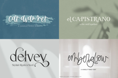 The Logo &amp; Branding Font Bundle Product Image 5
