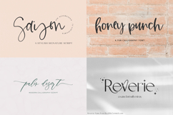 The Logo &amp; Branding Font Bundle Product Image 7