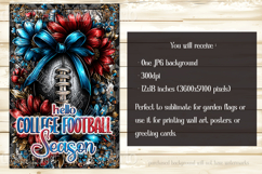 Football Garden Flag, Blue Red Football Garden Flag, d4 Product Image 2