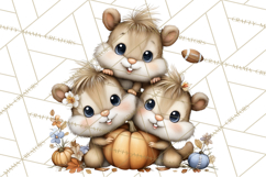 Fall Football Woodland Animals PNG Clipart Product Image 5