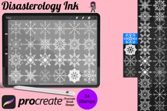 Winter Snowflake Set 1 Procreate Brush Stamp, 24 Xmas Snow Product Image 1
