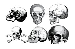 Vintage Skulls Procreate Brush Stamp, 38 Skull Stamps Product Image 10