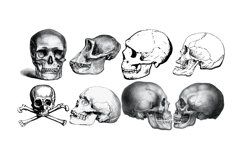 Vintage Skulls Procreate Brush Stamp, 38 Skull Stamps Product Image 5