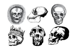 Vintage Skulls Procreate Brush Stamp, 38 Skull Stamps Product Image 7