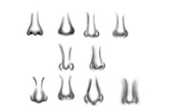 Noses Set 1 Procreate Brush Stamps, 40 Facial Nose Stamps Product Image 7