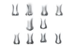 Noses Set 1 Procreate Brush Stamps, 40 Facial Nose Stamps Product Image 8