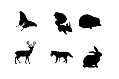 Cartoon Sea Animals Silhouette Set 1 Procreate Brush Stamps Product Image 8