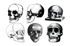 Vintage Skulls Procreate Brush Stamp, 38 Skull Stamps Product Image 8