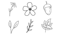 Woodland Set 1 Procreate Brush Stamps, 30 Woodland Stamps Product Image 9