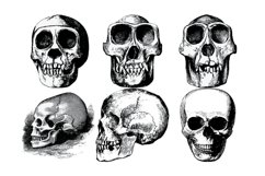Vintage Skulls Procreate Brush Stamp, 38 Skull Stamps Product Image 9