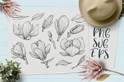 Magnolia hand-drawn vector graphics SVG, EPS Png Product Image 1