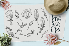 Magnolia hand-drawn vector graphics SVG, EPS Png Product Image 1