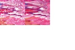 Forest Abstract Watercolor Digital Papers Glitter Background Product Image 5