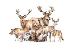Forest animals backgrounds clipart bundle Product Image 12