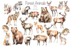 Forest Animals watercolor clipart Product Image 1