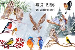 Watercolor Christmas clipart Winter birds Product Image 1