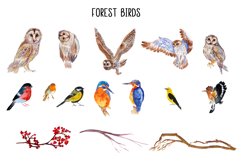 Watercolor Christmas clipart Winter birds Product Image 3