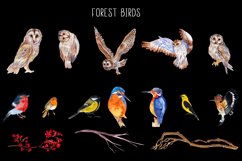 Watercolor Christmas clipart Winter birds Product Image 4