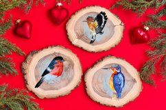Watercolor Christmas clipart Winter birds Product Image 6