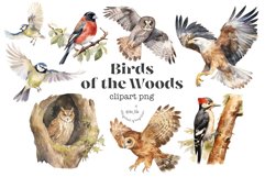 Birds of the Woods Product Image 1