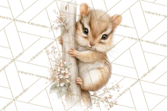 Baby Woodland Creatures, Forest Animals, Nursery Clipart PNG Product Image 3