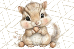 Baby Woodland Creatures, Forest Animals, Nursery Clipart PNG Product Image 5