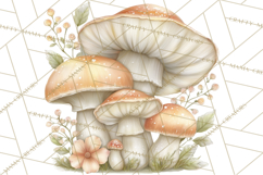 Baby Woodland Creatures, Forest Animals, Nursery Clipart PNG Product Image 4